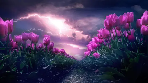 природа, цветы, розовые тюльпаны, молния, розовые, зелёные